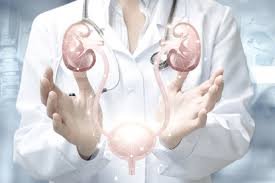 Urology in Qatar - Qatar Medical Updates